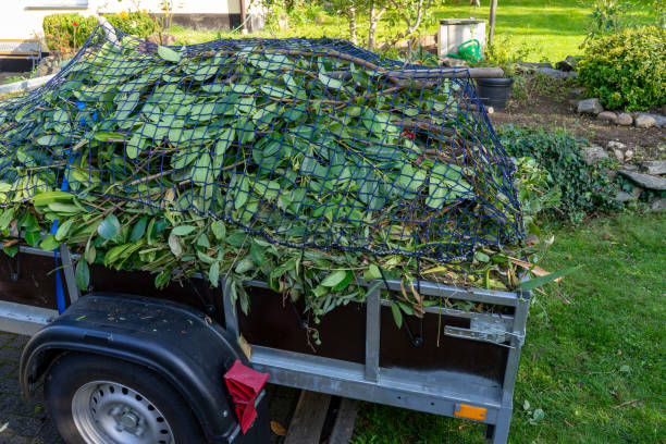 Best Shed Removal  in Woodbine, IA